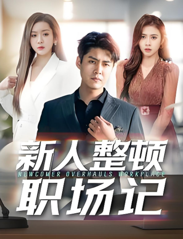新人整顿职场记(全集)