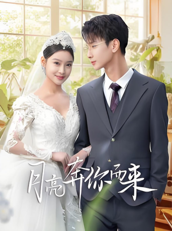 月亮奔你而来(全集)