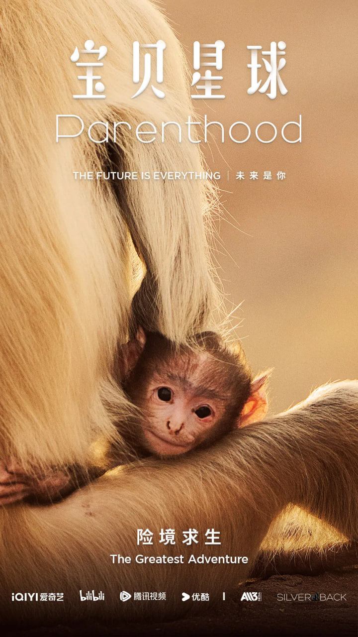 宝贝星球(全集)