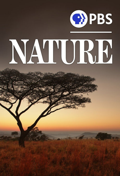 自然 第四十季(全集)