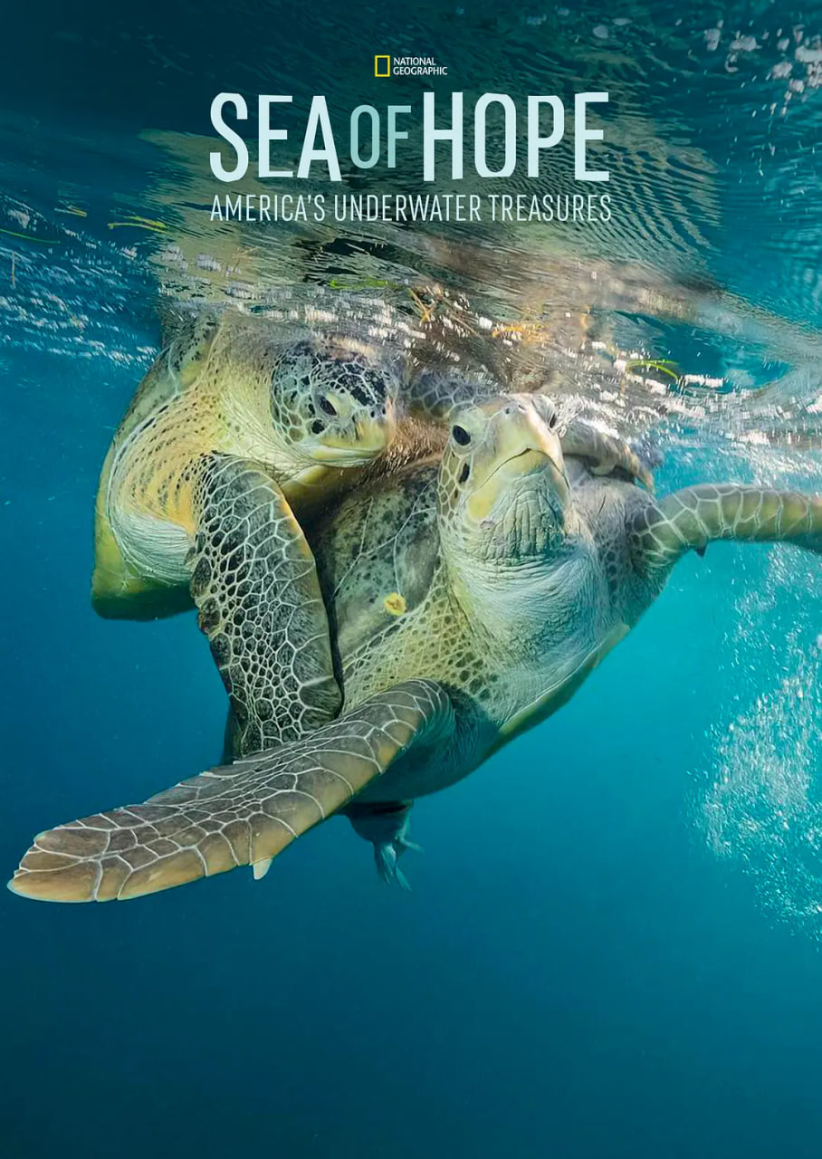 希望之海：美国海底之宝(全集)