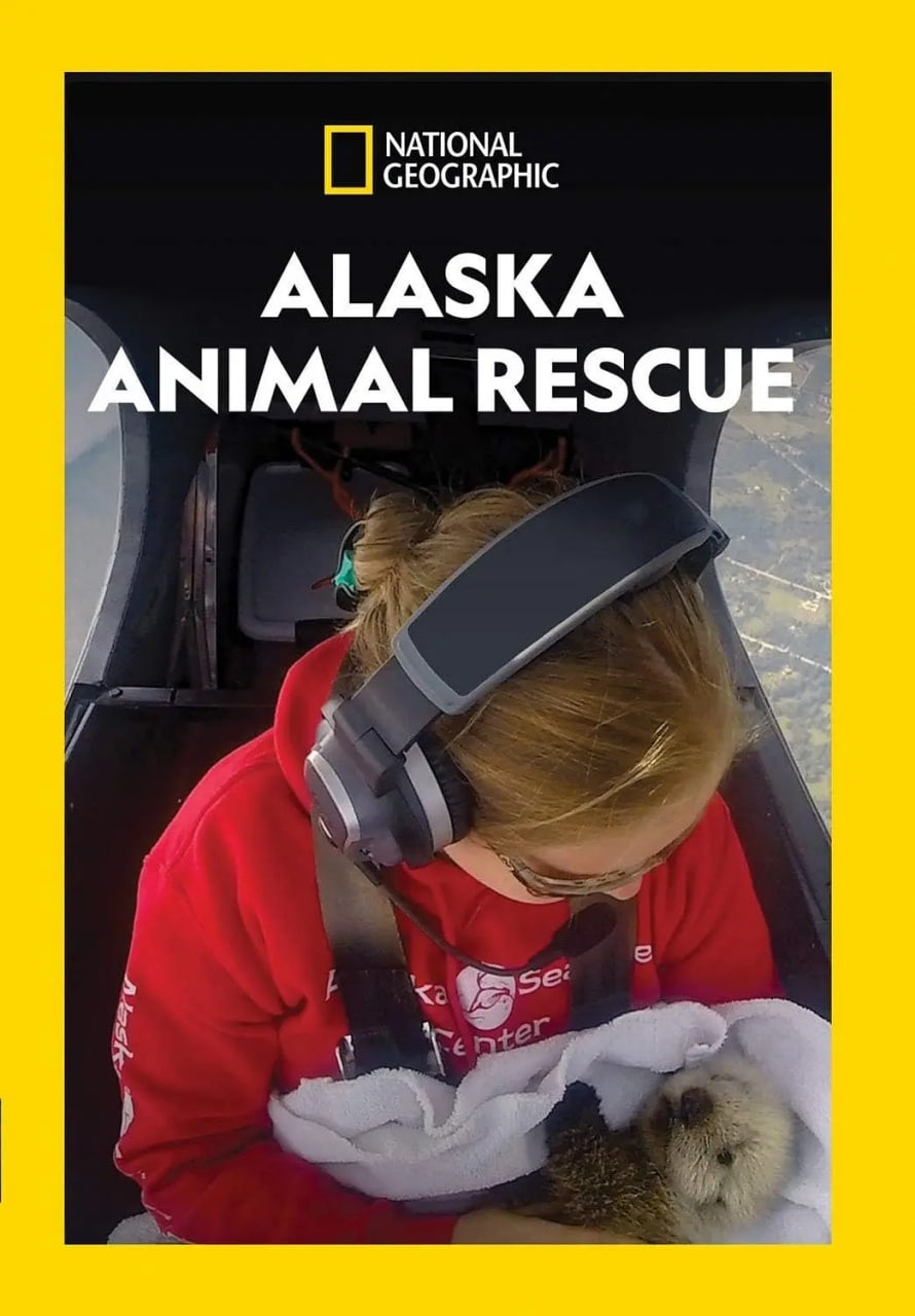 阿拉斯加野生动物救援 第一季(全集)