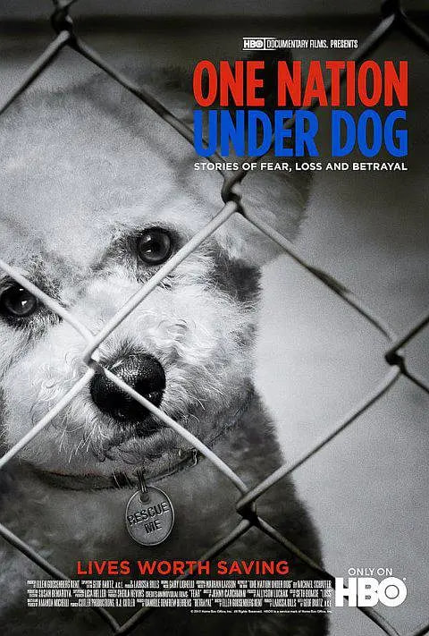 属于狗的王国(全集)