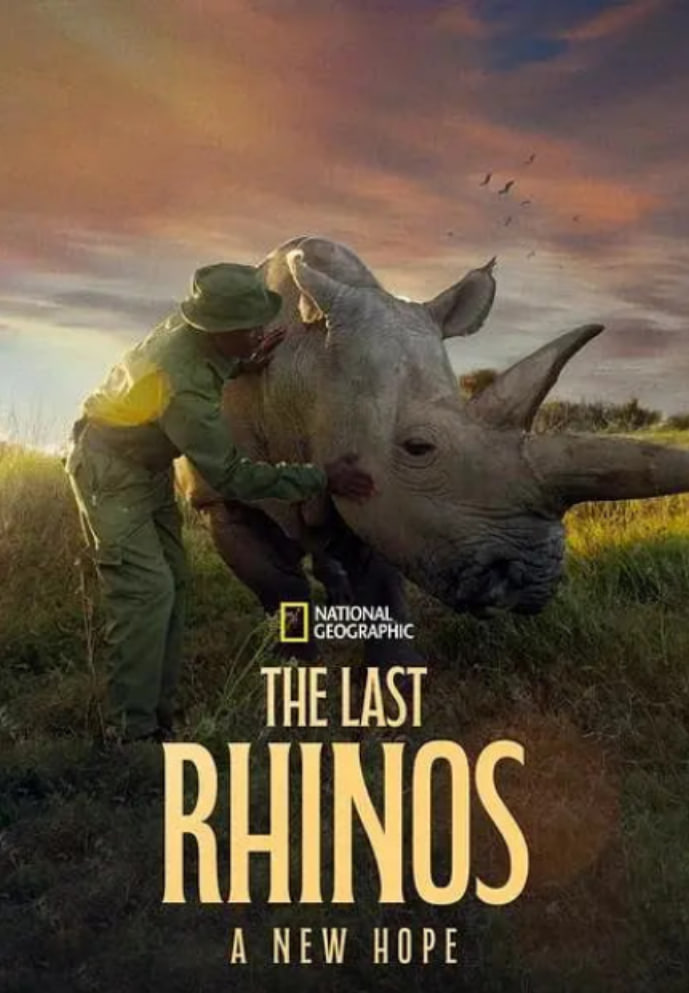 最后的犀牛：新希望(全集)