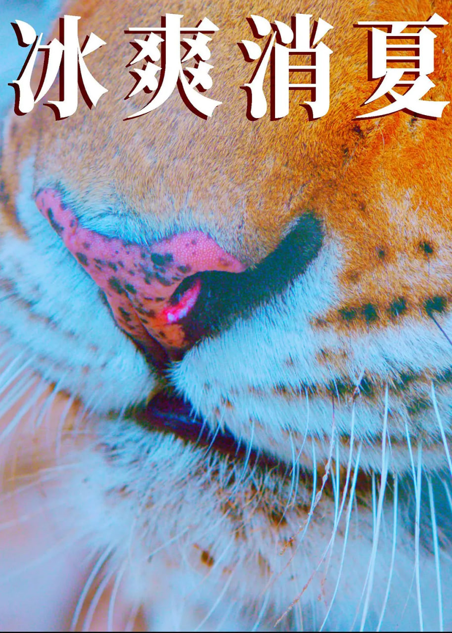 寒冰白血(全集)