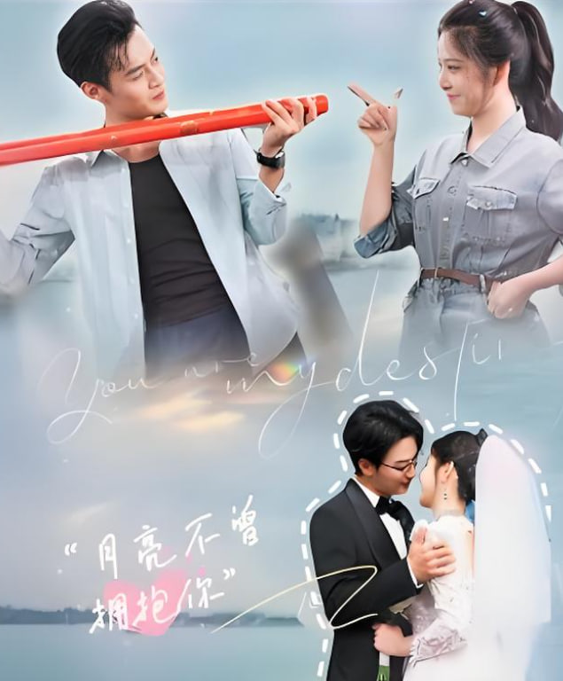 月亮不曾拥抱你(全集)