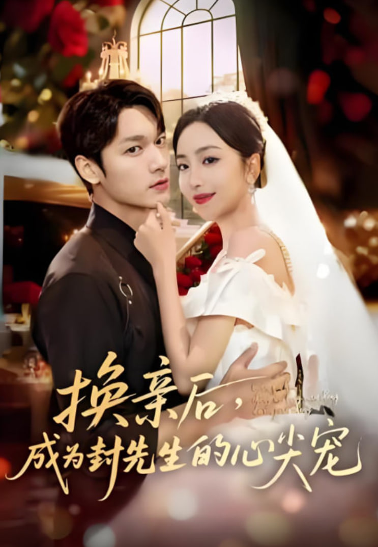 换亲后，成为封先生的心尖宠(全集)