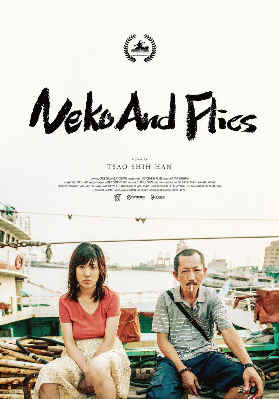 猫与苍蝇(全集)