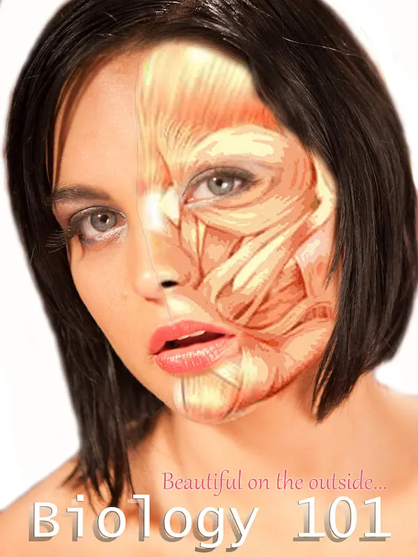 挡不住的诱惑(全集)