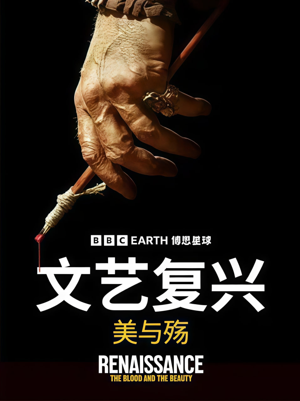 文艺复兴：美与殇(全集)