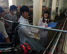 我和教授羊粪豆(全集)