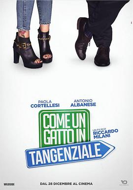 高速路上一只猫(全集)