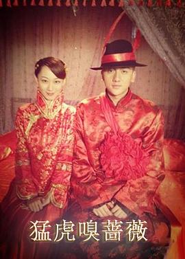 猛虎嗅蔷薇之盗亦有道(全集)