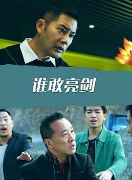 谁敢亮剑(全集)