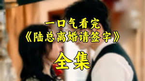 陆总离婚请签字(全集)