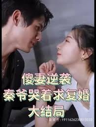 傻妻逆袭,秦爷哭着求复婚(全集)