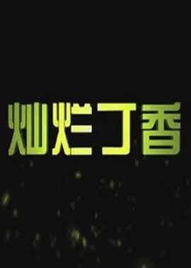 灿烂丁香(全集)