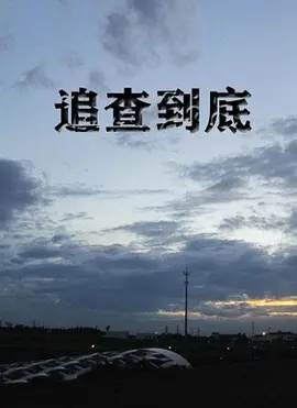 追查到底(全集)
