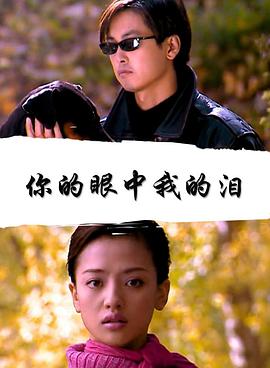 你的眼中我的泪(全集)
