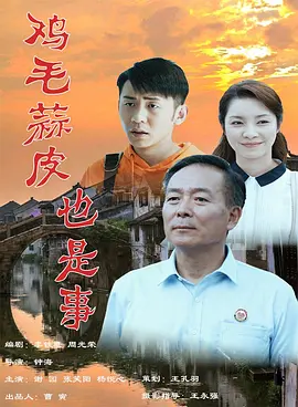 鸡毛蒜皮也是事(全集)