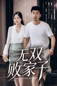 无双败家子(全集)