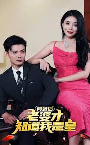 离婚后老婆才知我是皇(全集)