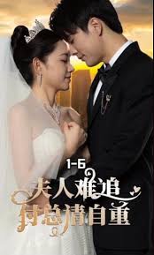 夫人难追,傅总请自重(全集)