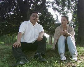 山里山外(全集)