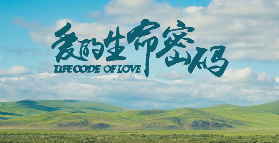爱的生命密码(全集)