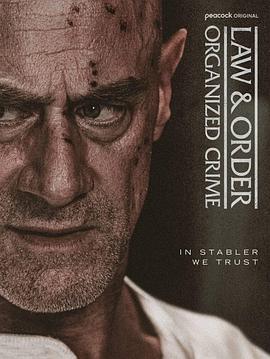 法律与秩序：组织犯罪第5季(全集)