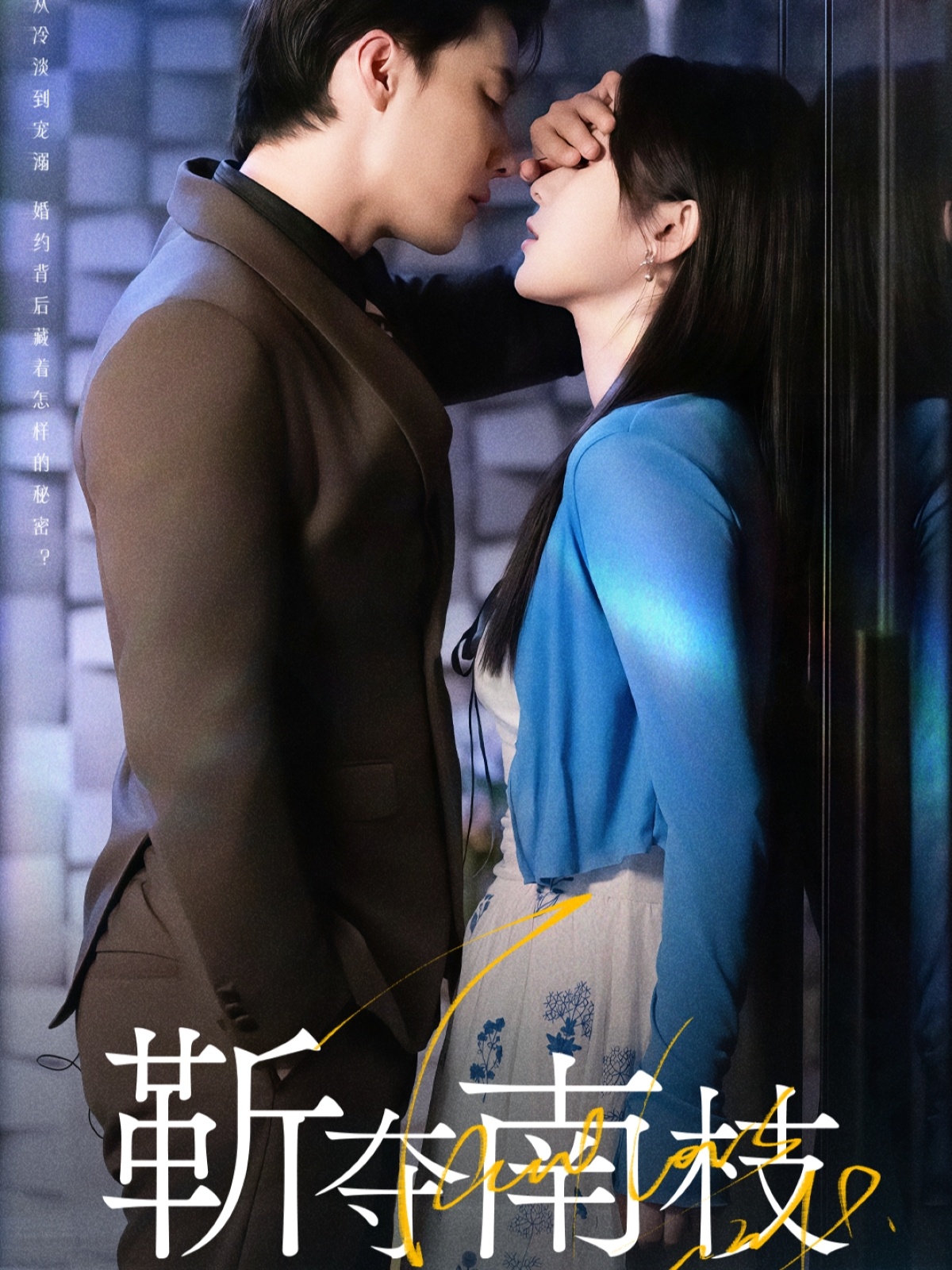 靳夺南枝(全集)