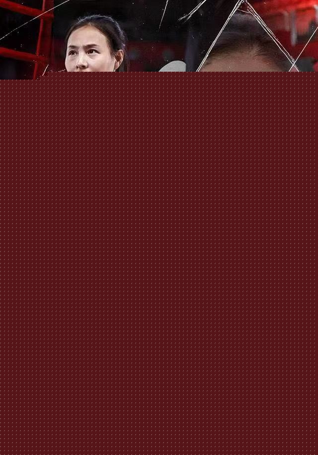 清洁工老妈，竟是武术传奇(全集)